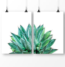 Load image into Gallery viewer, Succulent print set, botanical plant, cactus wall art, cactus photography
