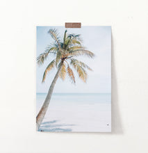 Load image into Gallery viewer, Coastal Palm Tree and Blue Sky. Tropical Print