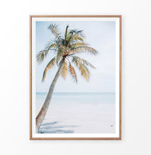 Load image into Gallery viewer, Palm tree in beach sand photo print