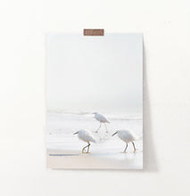 Load image into Gallery viewer, Coastal Seagulls and Ocean Waves Wall Art