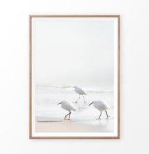 Load image into Gallery viewer, Seagulls on the beach photography