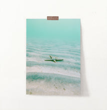 Load image into Gallery viewer, Deep Sea Starfish Wall Art Print