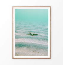 Load image into Gallery viewer, Nautical Wall Decor - Starfish in the green sea