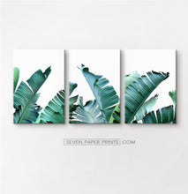 Load image into Gallery viewer, Tropical palm leaf canvas wall art set of 3 #148
