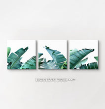 Load image into Gallery viewer, Tropical palm leaf canvas wall art set of 3 #148