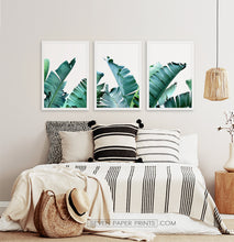 Load image into Gallery viewer, Three framed photo prints with banana leaves