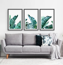 Load image into Gallery viewer, Three framed photo prints with banana leaves 2