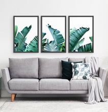 Load image into Gallery viewer, Three framed photo prints with banana leaves 3