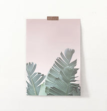 Load image into Gallery viewer, Tropical Leaves with Blush Pink Background