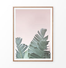 Load image into Gallery viewer, Banana Leaf on the Pink Background Print