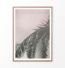 Load image into Gallery viewer, Palm on the pink wall. Retro tropical photograph