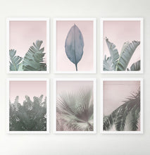 Load image into Gallery viewer, Coastal Palms And Plants On Pink Background Set Of 6 Framed Wall Art