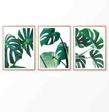 Load image into Gallery viewer, monstera deliciosa wall art set of 3. Palm Leaves Decor