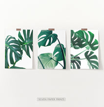 Load image into Gallery viewer, Monstera Green Leaves Set of 3 Deliciosa Prints