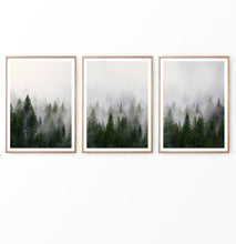 Load image into Gallery viewer, Misty Pines on Foggy Landscape Photography Set of 3 Prints
