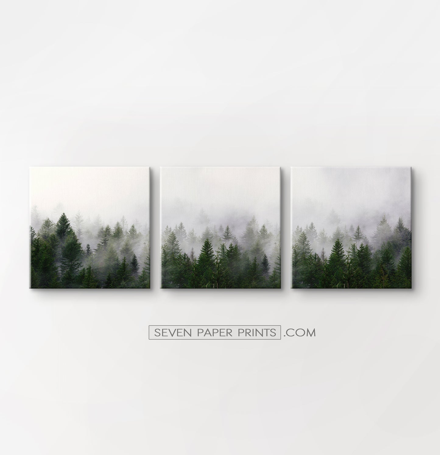 Green foggy forest canvas set of 3 prints #152
