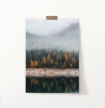 Load image into Gallery viewer, Autumn Coniferous Forest Reflecting In Lake Photo Poster