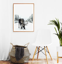 Load image into Gallery viewer, Wood-framed Moose On a Snowy Country Road Photo Wall Decor