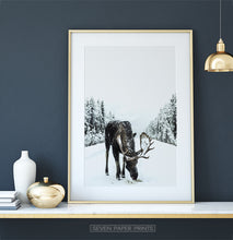 Load image into Gallery viewer, Gold-framed Moose On a Snowy Country Road Photo Wall Decor