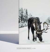Load image into Gallery viewer, Moose winter and winter nature set of 3 canvases #161