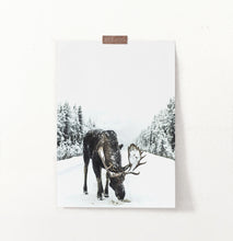 Load image into Gallery viewer, Moose On a Snowy Country Road Photo Wall Decor