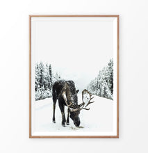 Load image into Gallery viewer, Wood-framed Moose On a Snowy Country Road Photo Wall Decor