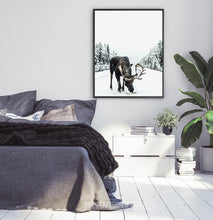 Load image into Gallery viewer, Black-framed Moose On a Snowy Country Road Photo Wall Decor