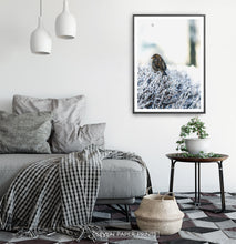 Load image into Gallery viewer, Black-framed Sparrow On Snow-Covered Branches Photo Wall Art