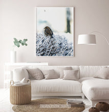 Load image into Gallery viewer, White-framed Sparrow On Snow-Covered Branches Photo Wall Art