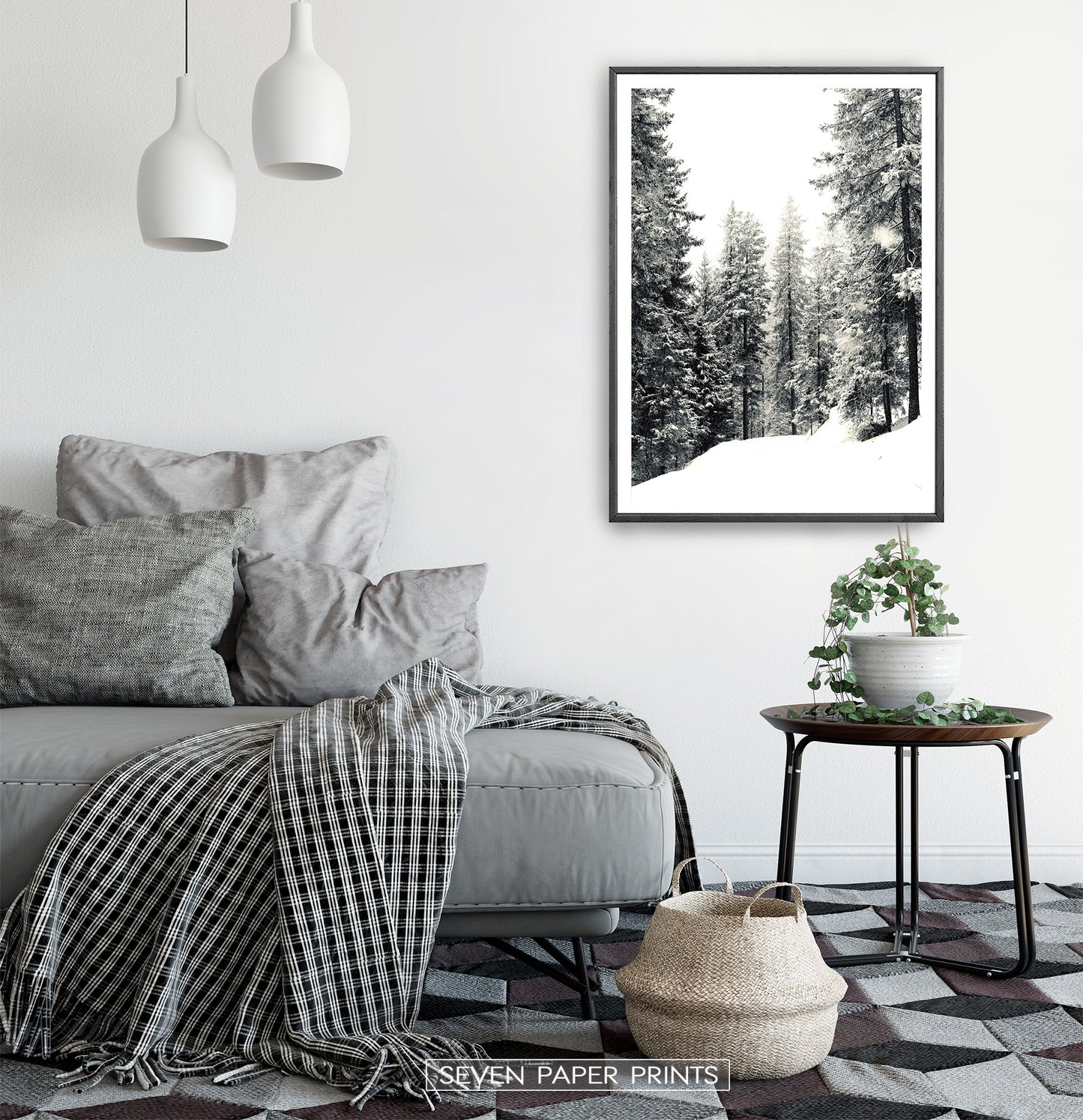 Winter Woods With Showy Spruces Photo Print