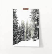 Load image into Gallery viewer, Winter Woods With Showy Spruces Photo Print