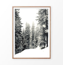 Load image into Gallery viewer, Wood-framed Snowdrift In A Winter Forest Photo Print