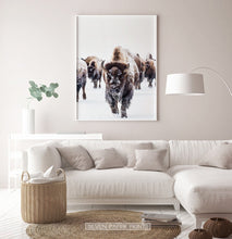 Load image into Gallery viewer, White-framed European Bison Herd Running In Snow Poster