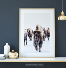 Load image into Gallery viewer, Golden-framed European Bison Herd Running In Snow Poster