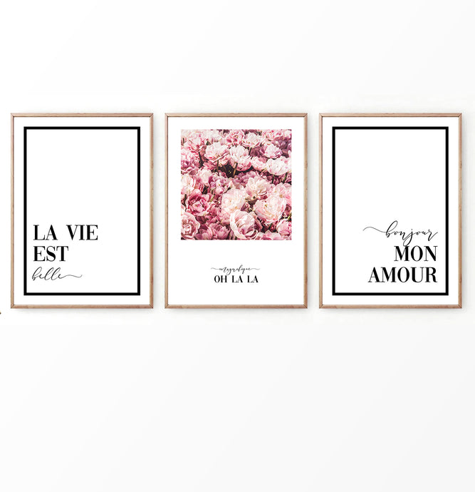 Bonjour Floral Set of 3 Prints in French Style