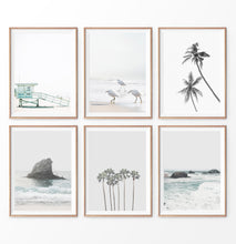 Load image into Gallery viewer, Gray Coastal Print Set. Beach, Palms, Ocean Rock, Waves, Birds