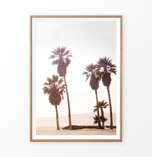 Load image into Gallery viewer, Palm Trees, sun, sand, beach, coastal