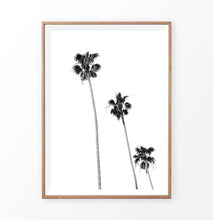 Load image into Gallery viewer, Black White Palm Trees Isolated
