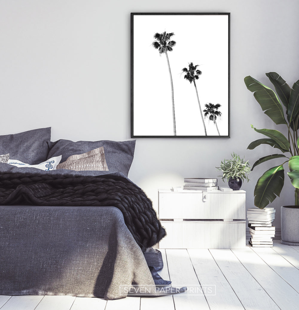 Black and White Coastal Palm Trees Wall Art