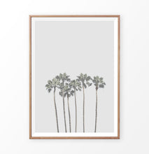 Load image into Gallery viewer, California Palm Trees and Gray Sky on the background