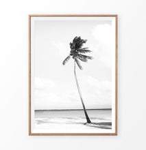 Load image into Gallery viewer, Black and White Palm Tree Beach Photo