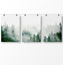 Load image into Gallery viewer, Trees wall art, tree landscape, Christmas tree art, misty forest, foggy forest, nature landscape
