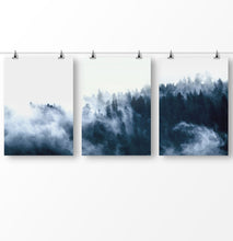 Load image into Gallery viewer, Foggy forest, blue forest photography, misty pine trees