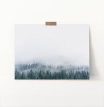Load image into Gallery viewer, Misty Fir Forest Canadian Natural Wall Art