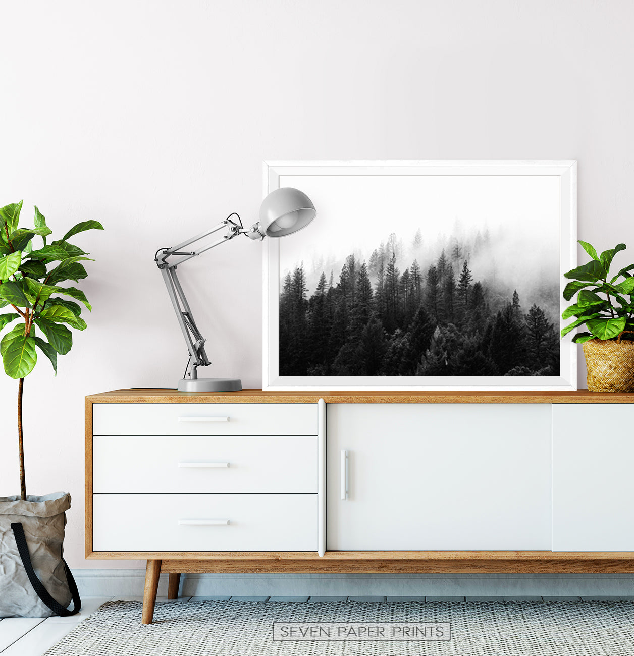 Dark Forest In Mist Black And White Poster