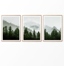 Load image into Gallery viewer, Pine Trees on Foggy Mountain Landscape Set of 3 Posters