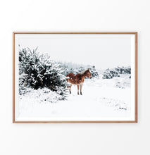 Load image into Gallery viewer, Horse in a snowy landscape wall art in a wooden frame