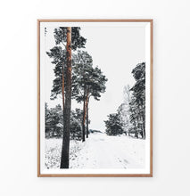 Load image into Gallery viewer, Pine Forest Snowy Road Poster