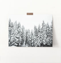 Load image into Gallery viewer, Winter Spruce Grove Landscape Photo Art Decoration