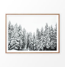 Load image into Gallery viewer, Wooden-framed Winter Spruce Grove Landscape Photo Art Decoration